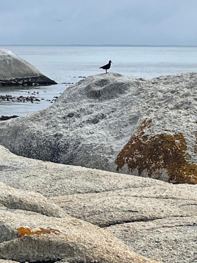 Whale Rock * Cape Town